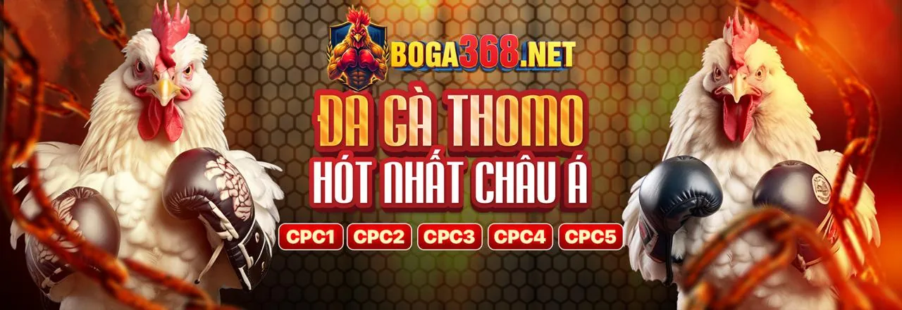 Tâm lý vững vàng trong cá cược